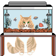 aquariumKat.gif