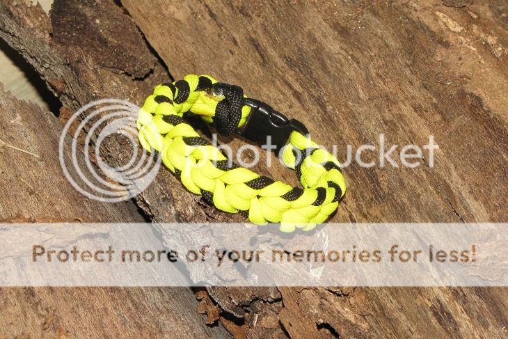 photo oat_zpse63053f6.jpg