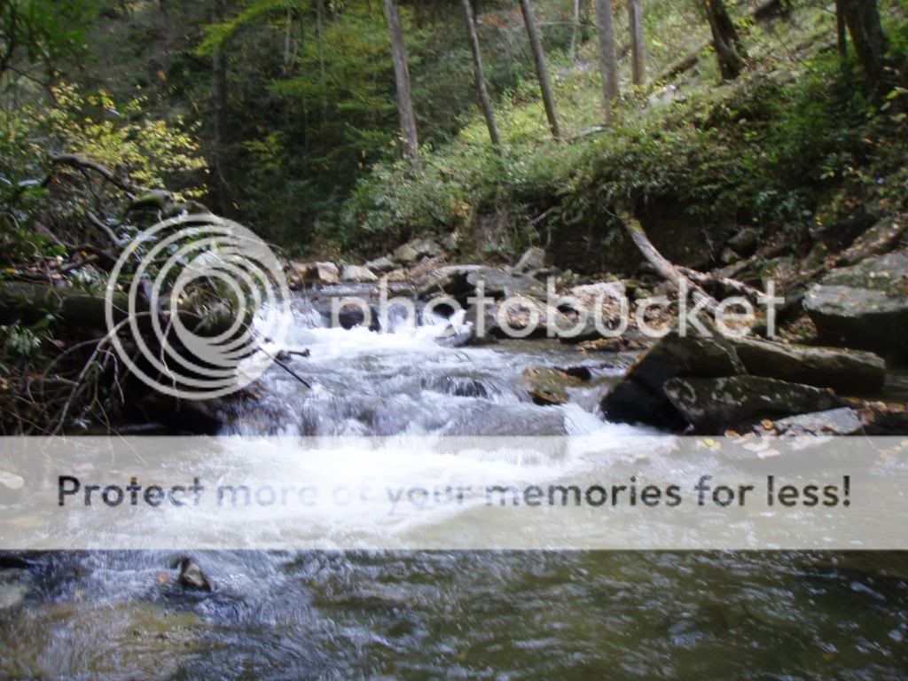 River Pictures, Images and Photos