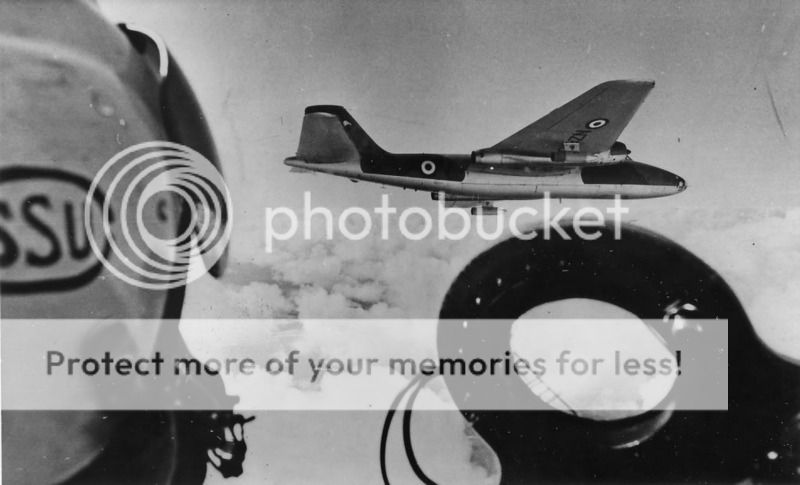 B12fromSSUTBird.jpg~original